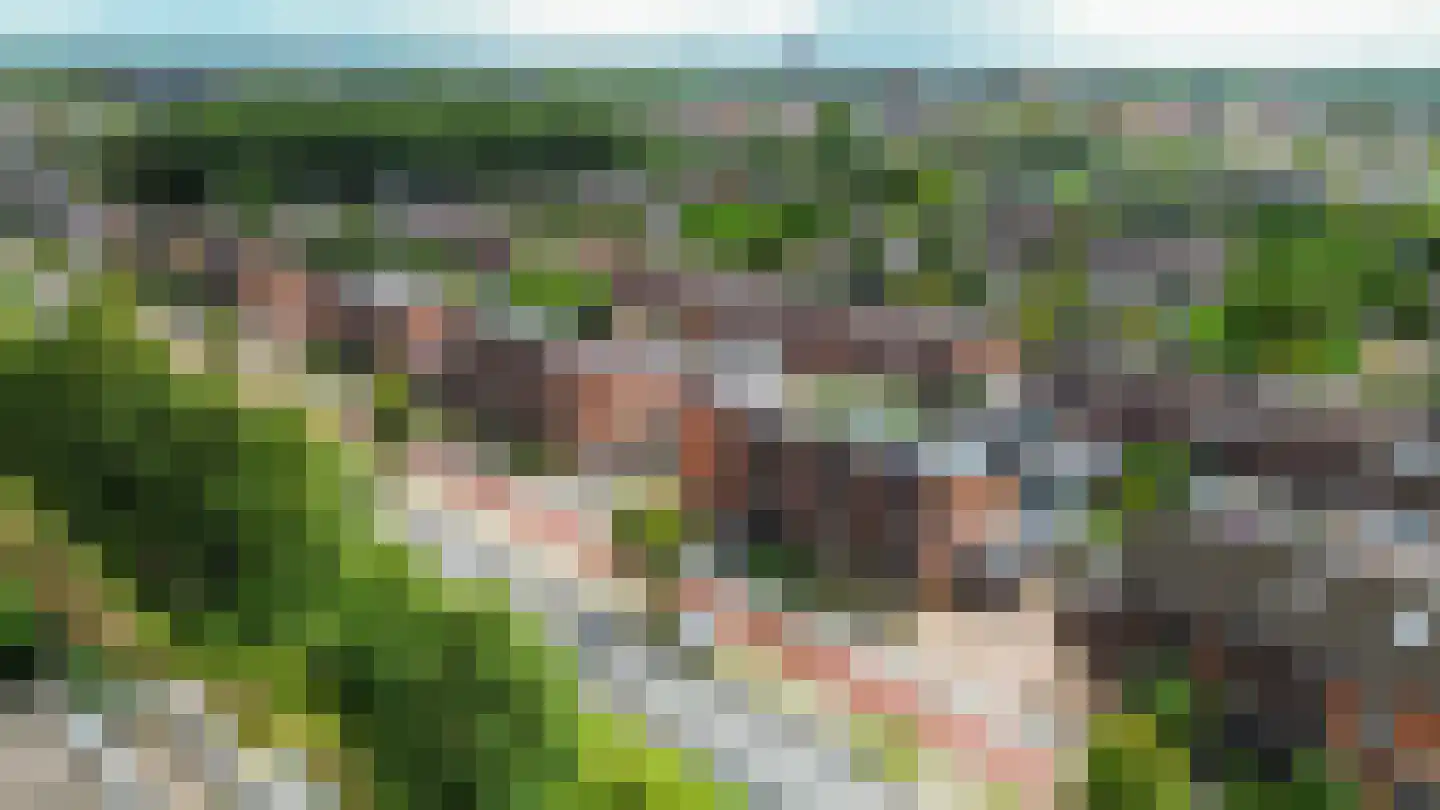 Hildegard van Bingenweg 113 Assen thumbnail 13