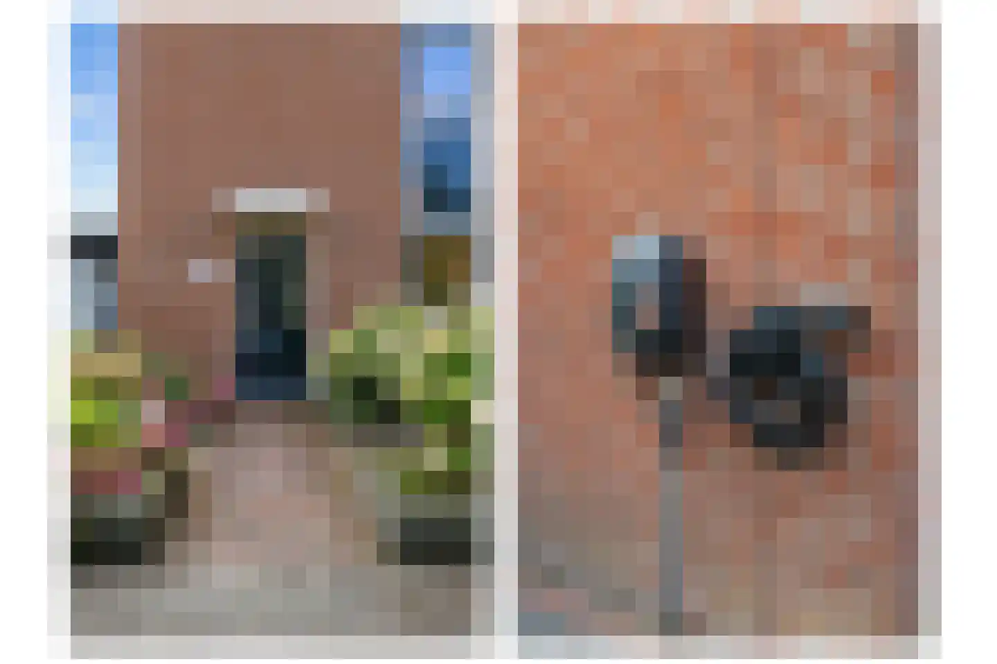 Hildegard van Bingenweg 113 Assen thumbnail 18