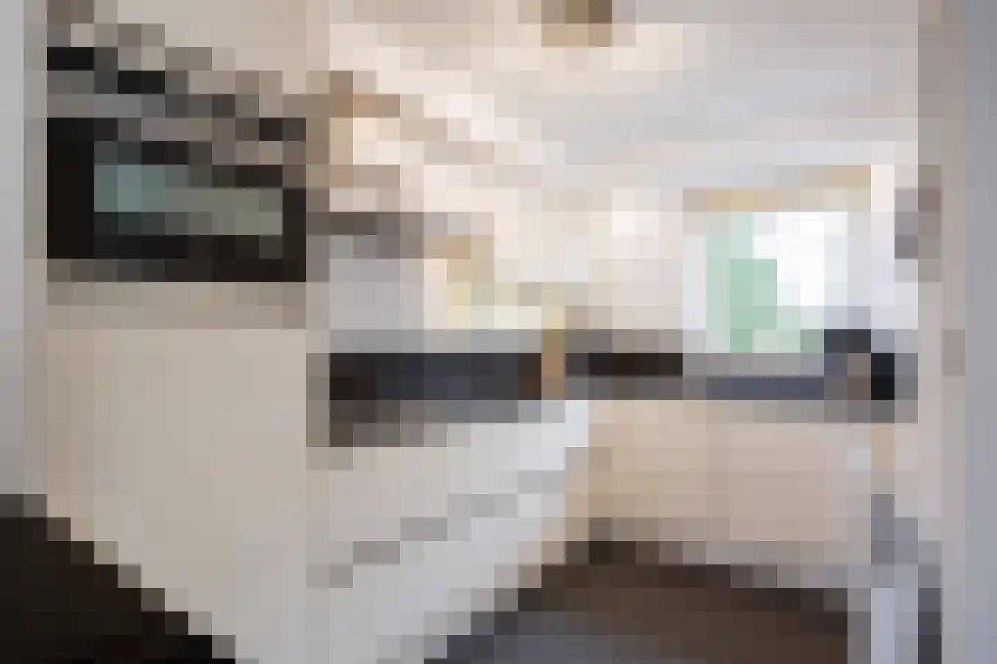 Hildegard van Bingenweg 113 Assen thumbnail 26