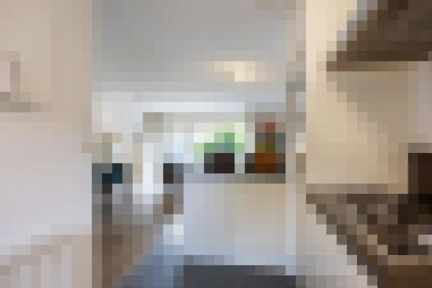 Hildegard van Bingenweg 113 Assen thumbnail 27