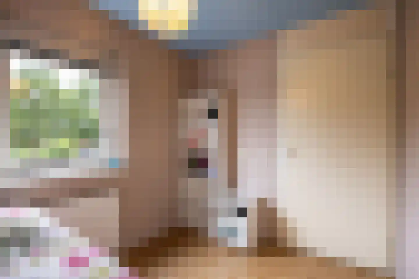 Hildegard van Bingenweg 113 Assen thumbnail 31