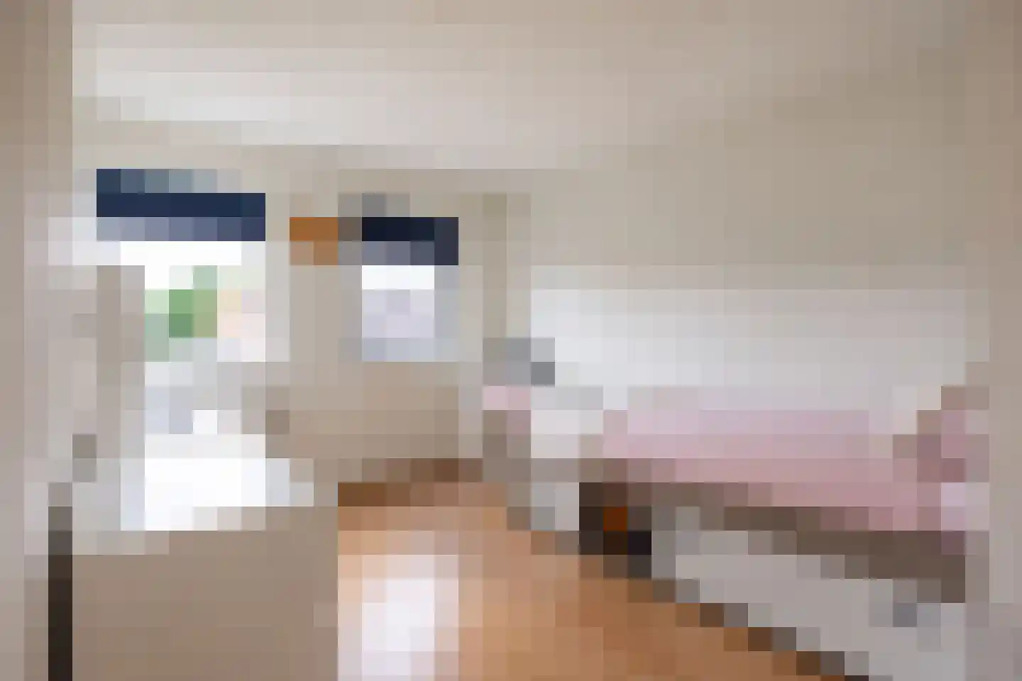 Hildegard van Bingenweg 113 Assen thumbnail 32