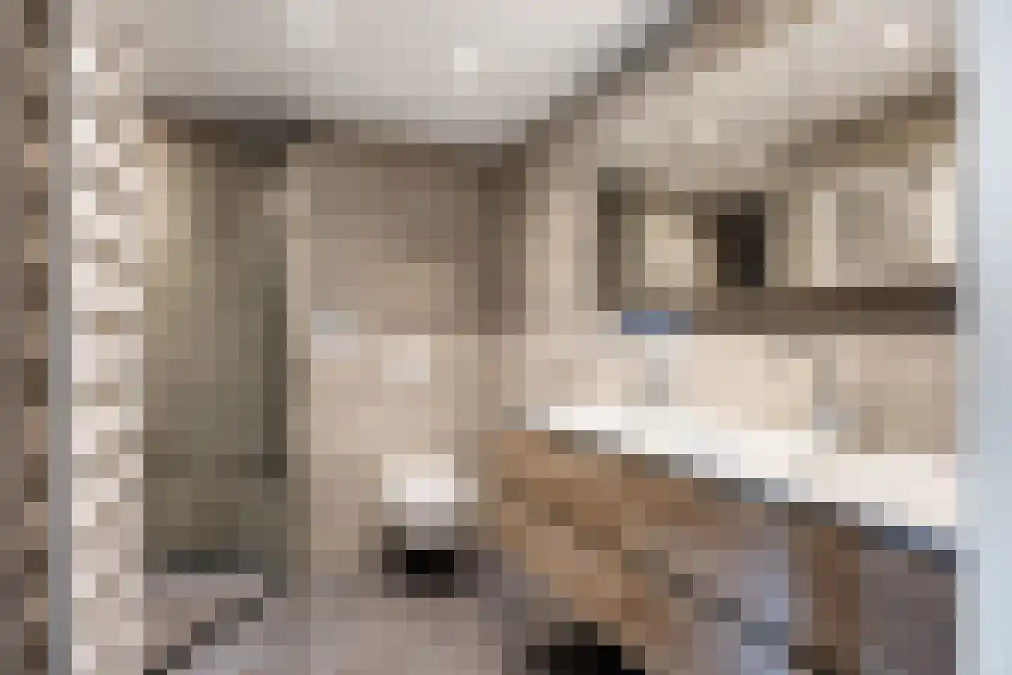 Hildegard van Bingenweg 113 Assen thumbnail 36