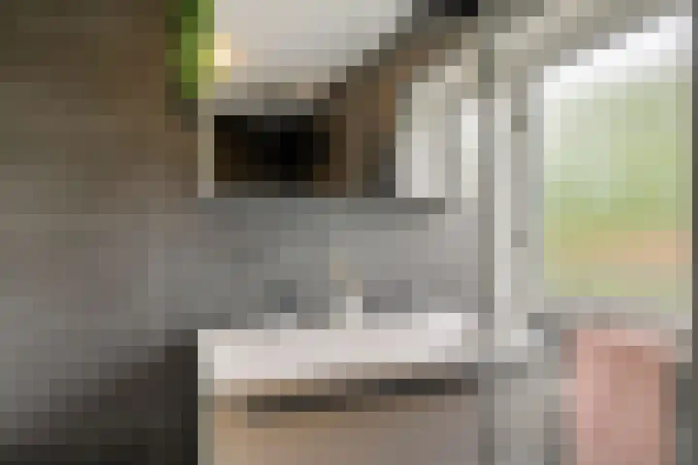 Hildegard van Bingenweg 19 Assen thumbnail 15