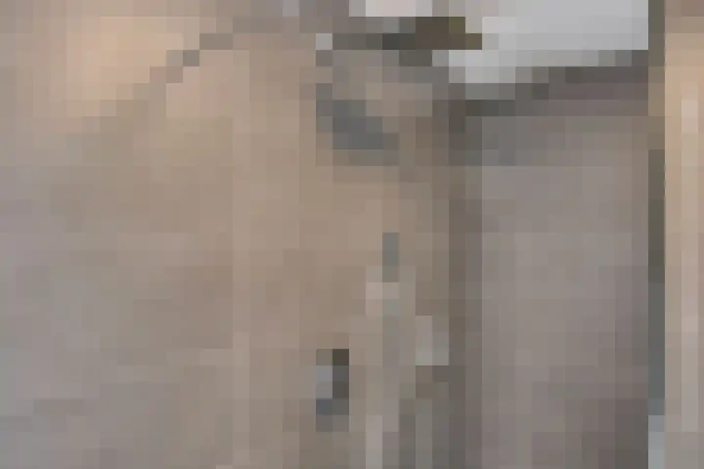 Hildegard van Bingenweg 19 Assen thumbnail 16