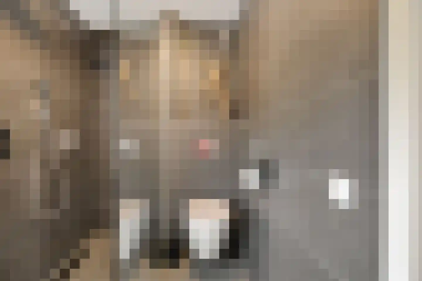Hildegard van Bingenweg 19 Assen thumbnail 17