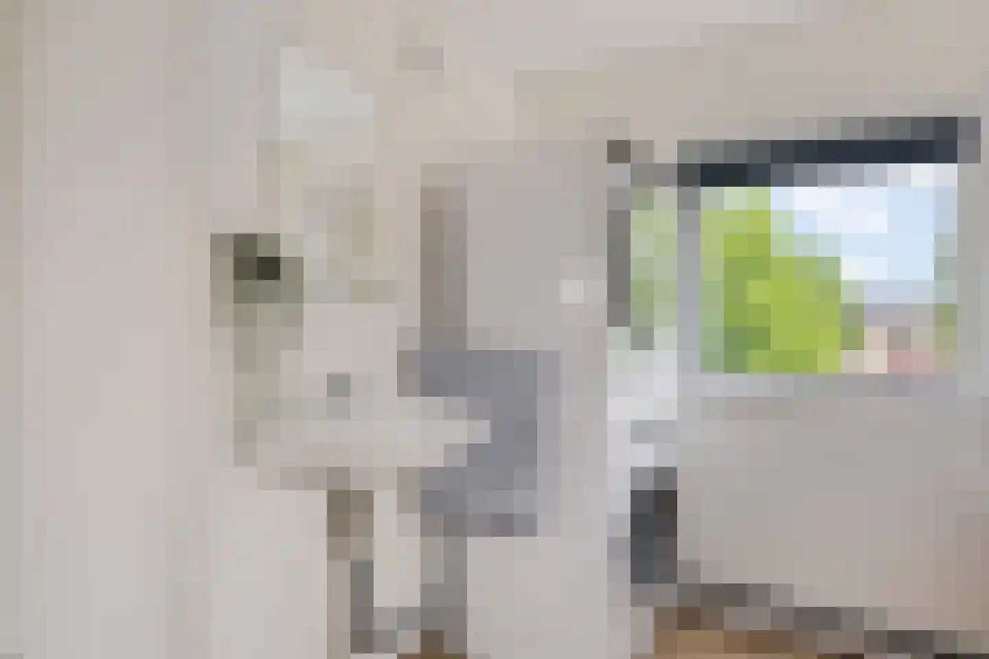 Hildegard van Bingenweg 19 Assen thumbnail 25