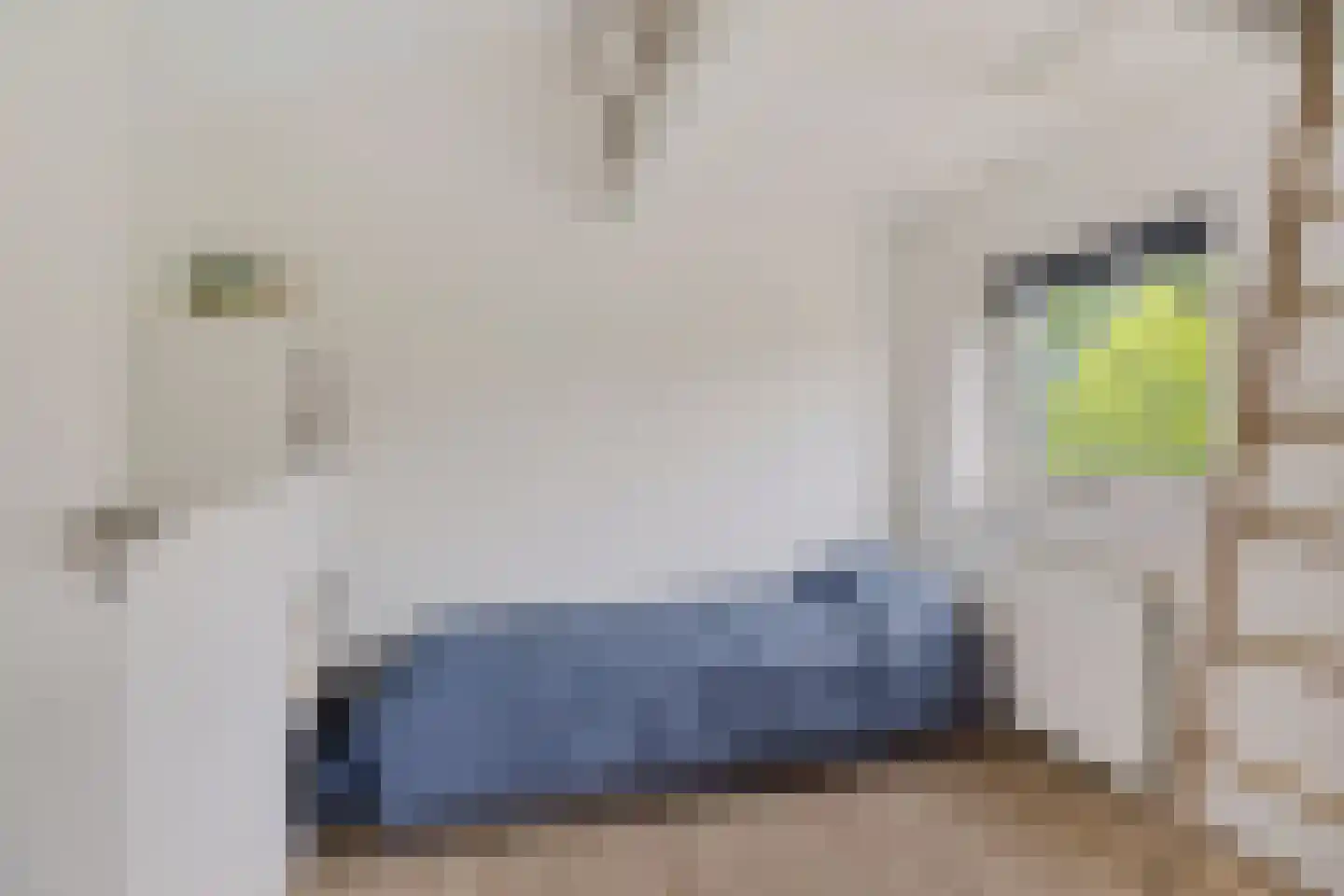 Hildegard van Bingenweg 19 Assen thumbnail 26