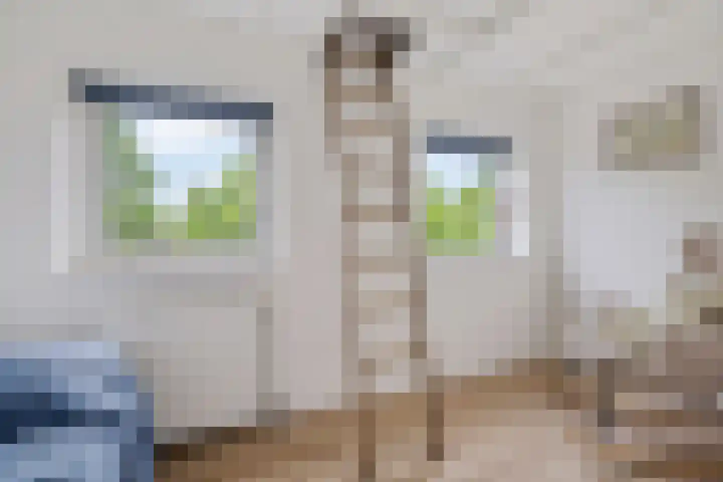 Hildegard van Bingenweg 19 Assen thumbnail 27