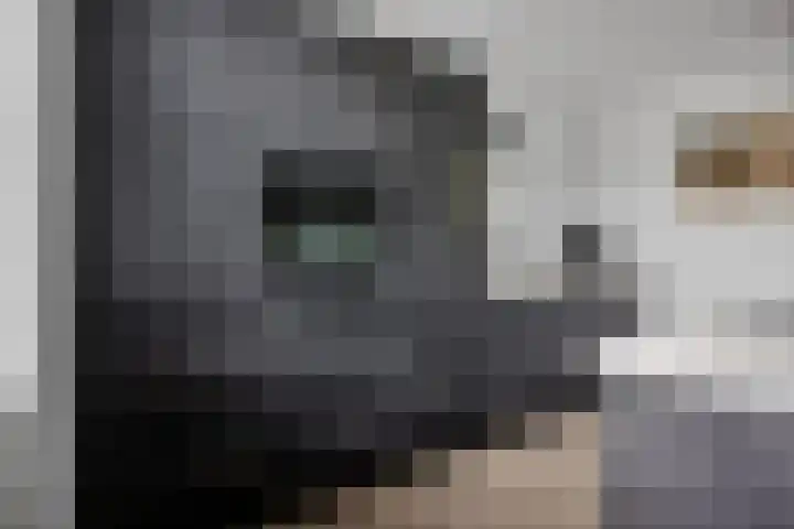 Hildegard van Bingenweg 51 Assen thumbnail 11