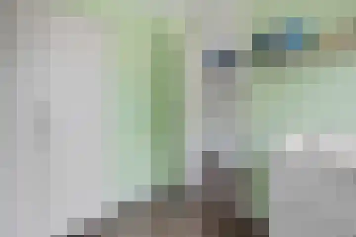 Hildegard van Bingenweg 51 Assen thumbnail 16