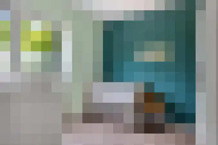 Hildegard van Bingenweg 51 Assen thumbnail 17