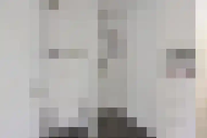 Hildegard van Bingenweg 51 Assen thumbnail 18