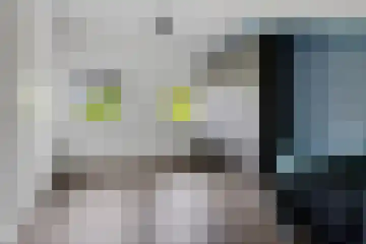 Hildegard van Bingenweg 51 Assen thumbnail 21