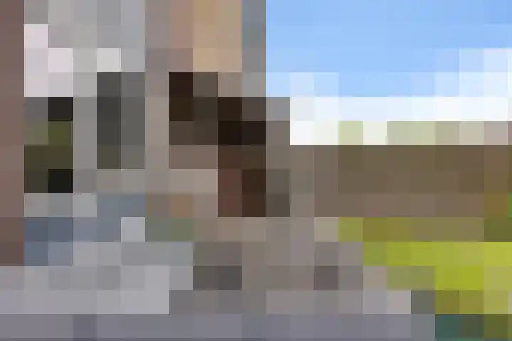Hildegard van Bingenweg 51 Assen thumbnail 24