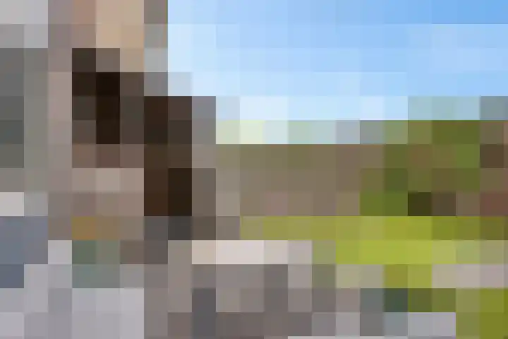 Hildegard van Bingenweg 51 Assen thumbnail 25
