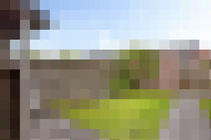 Hildegard van Bingenweg 51 Assen thumbnail 26