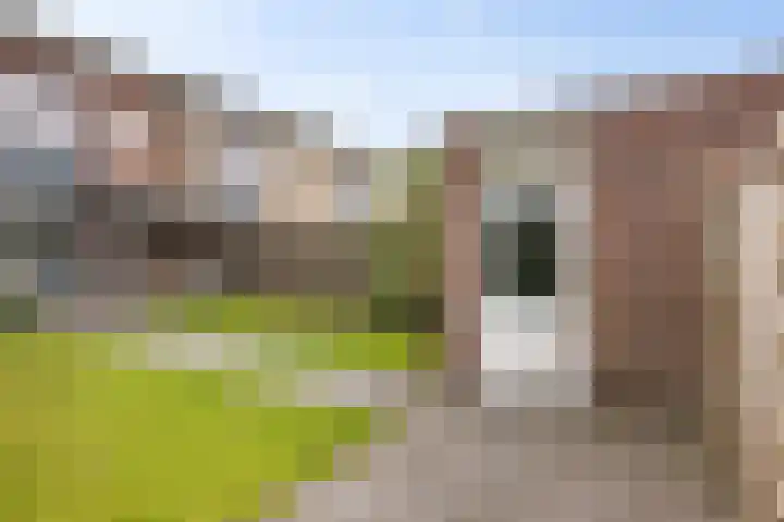 Hildegard van Bingenweg 51 Assen thumbnail 27
