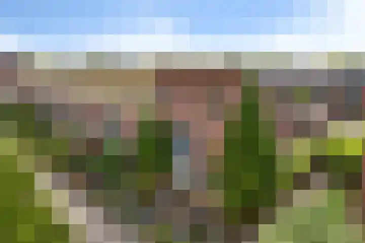 Hildegard van Bingenweg 51 Assen thumbnail 28