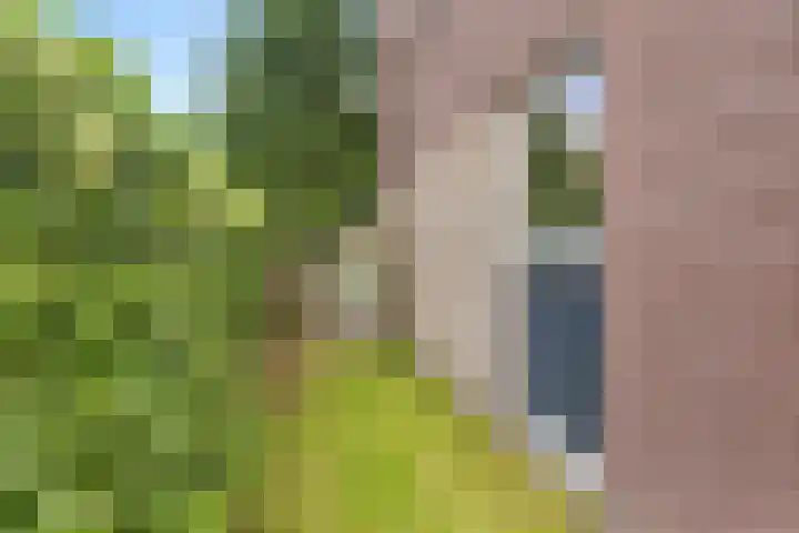 Hildegard van Bingenweg 51 Assen thumbnail 30