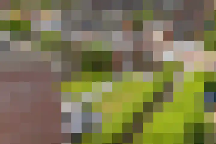 Hildegard van Bingenweg 51 Assen thumbnail 31