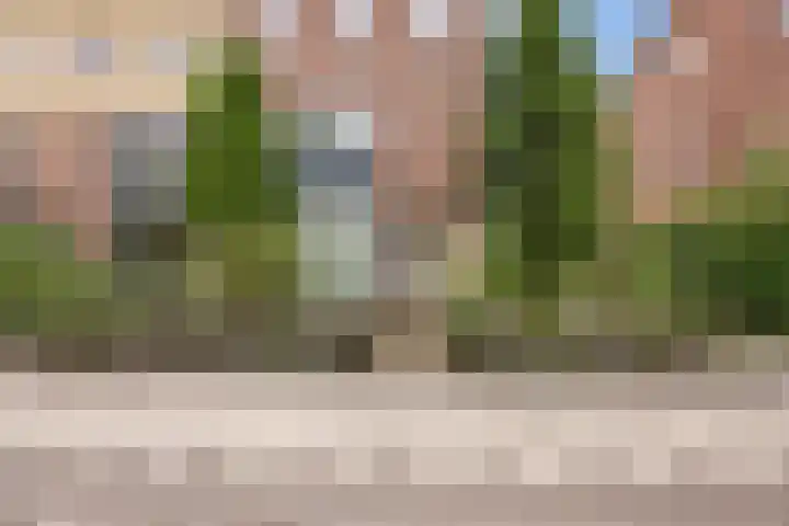 Hildegard van Bingenweg 51 Assen thumbnail 32