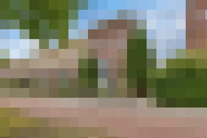 Hildegard van Bingenweg 51 Assen thumbnail 38