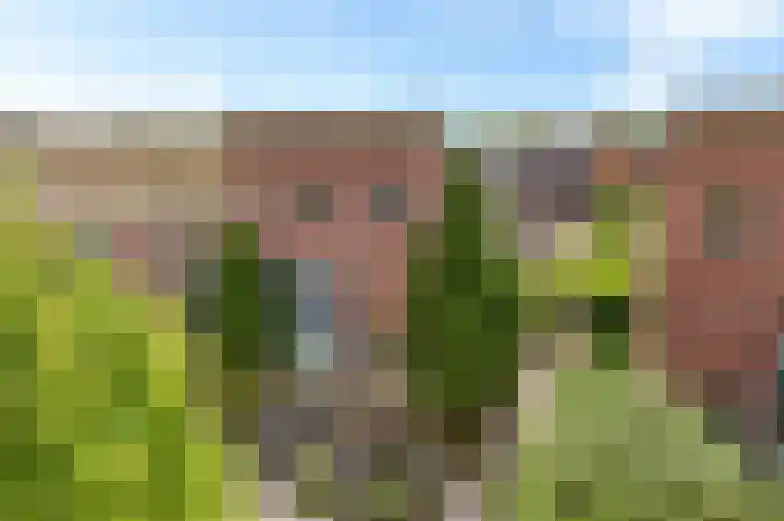 Hildegard van Bingenweg 51 Assen thumbnail 4