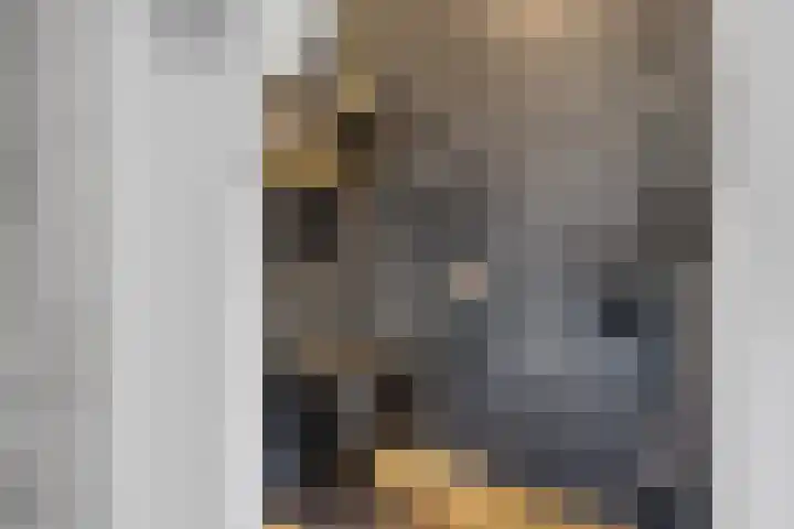 Hildegard van Bingenweg 51 Assen thumbnail 7