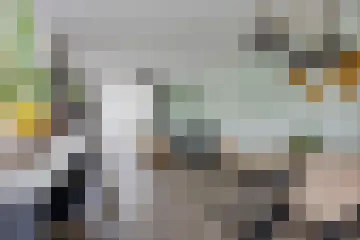 Hildegard van Bingenweg 51 Assen thumbnail 9
