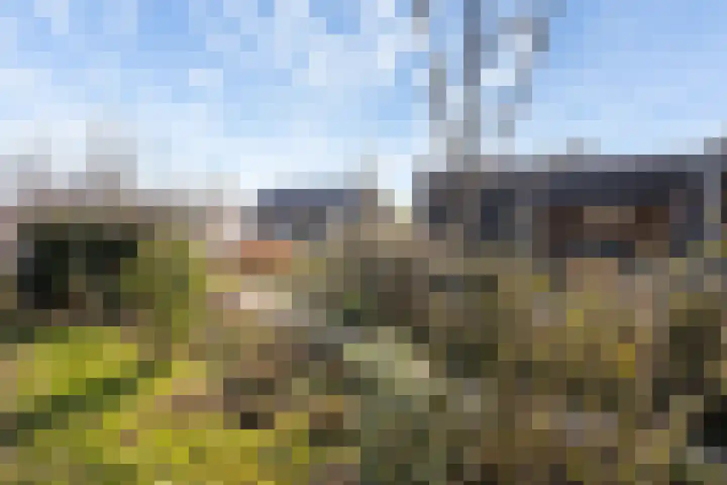 Hildegard van Bingenweg 74 Almere thumbnail 44