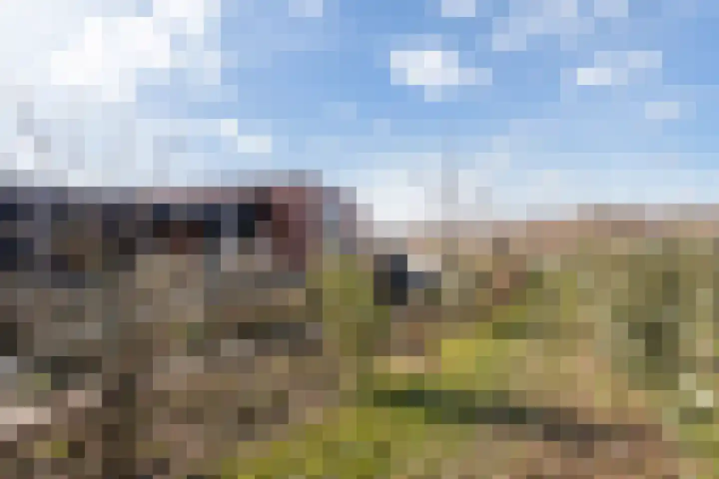 Hildegard van Bingenweg 74 Almere thumbnail 46