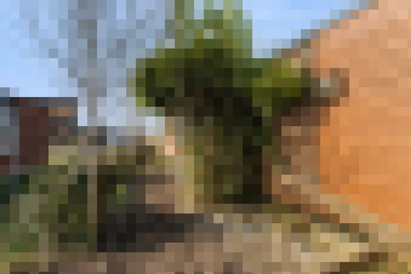 Hildegard van Bingenweg 74 Almere thumbnail 49