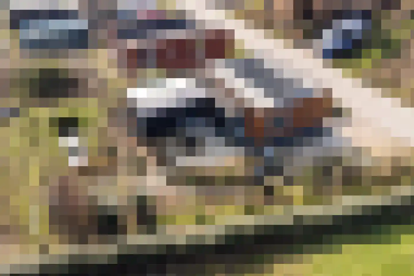 Hildegard van Bingenweg 74 Almere thumbnail 53