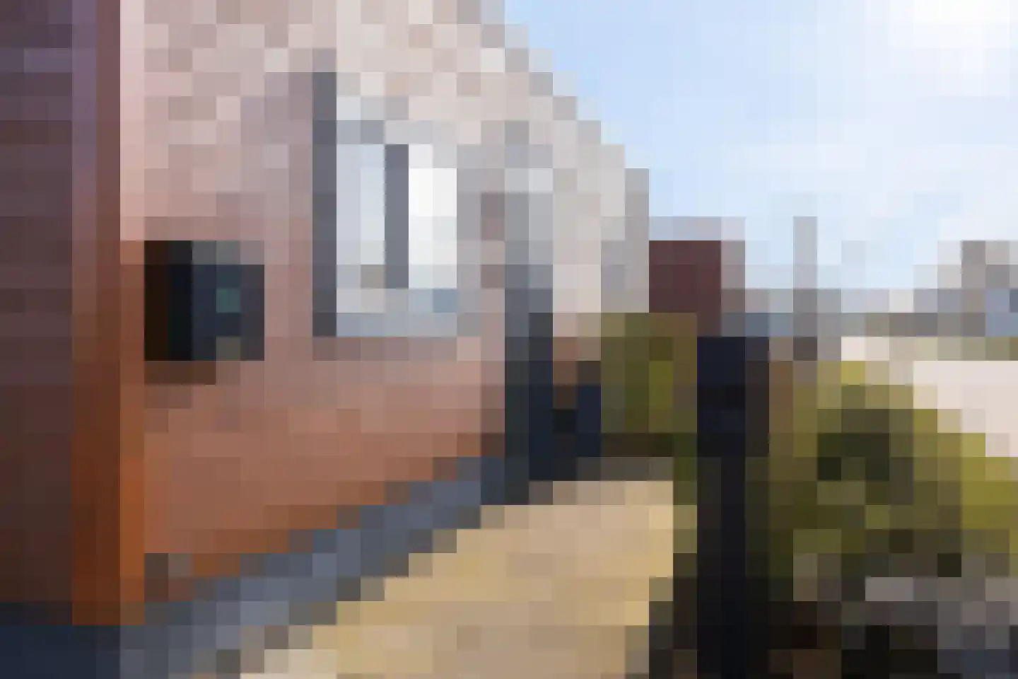 Hildegard van Bingenweg 74 Almere thumbnail 59
