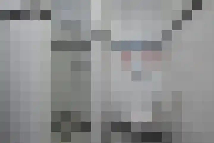 Hildegard van Bingenweg 95 Assen thumbnail 17