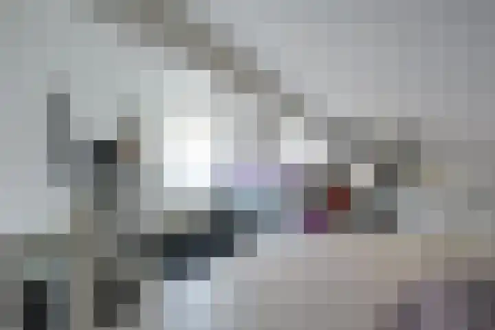 Hildegard van Bingenweg 95 Assen thumbnail 18