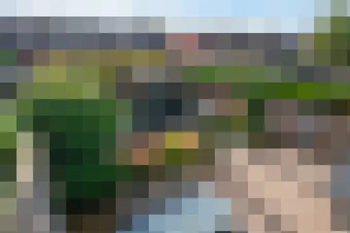 Hildegard van Bingenweg 95 Assen thumbnail 28