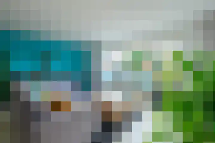 Hildegard van Bingenweg 95 Assen thumbnail 4