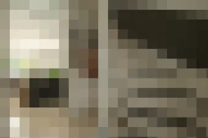 Hildegard van Bingenweg 95 Assen thumbnail 9