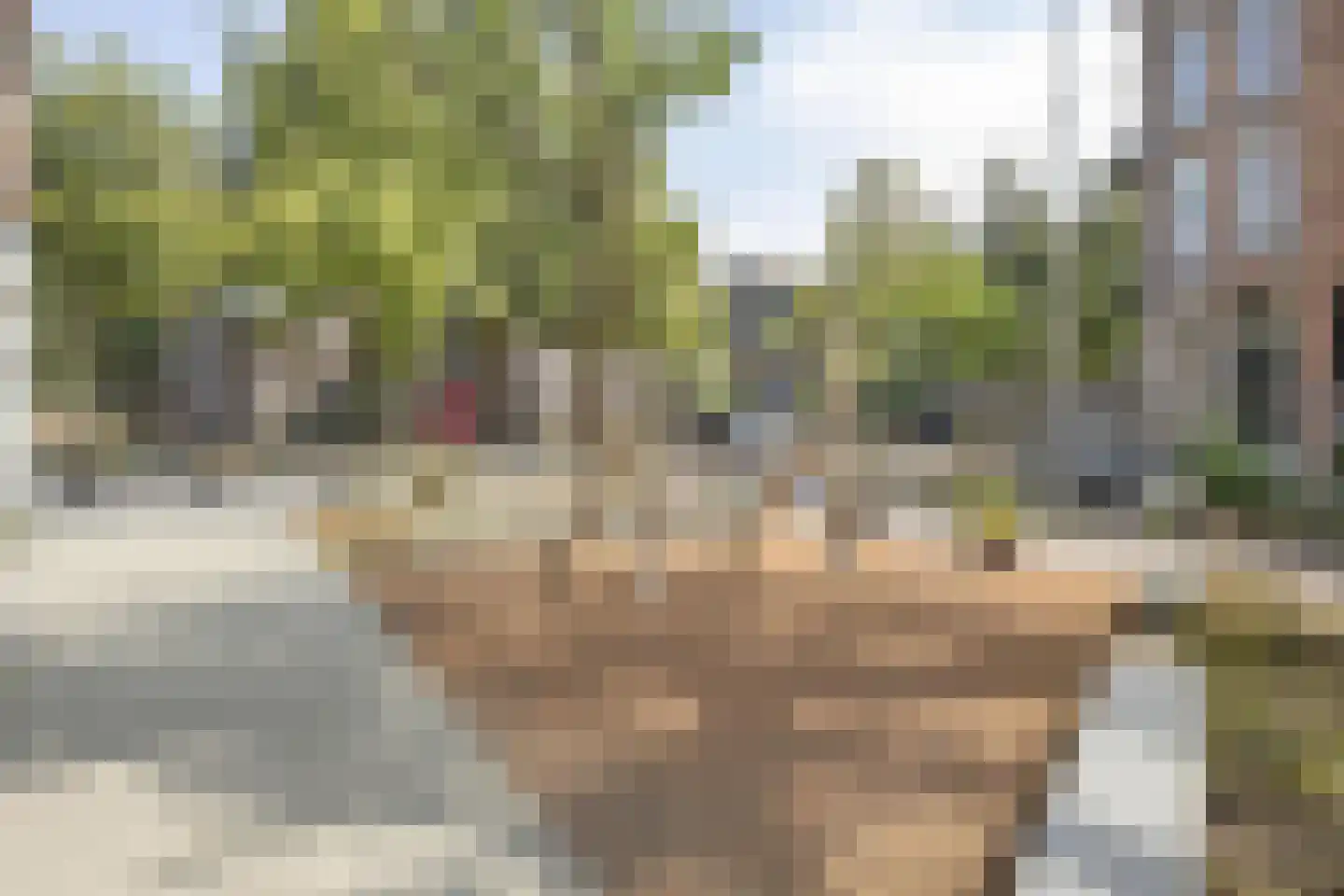 Hildegardisstraat 16 C Rotterdam thumbnail 20