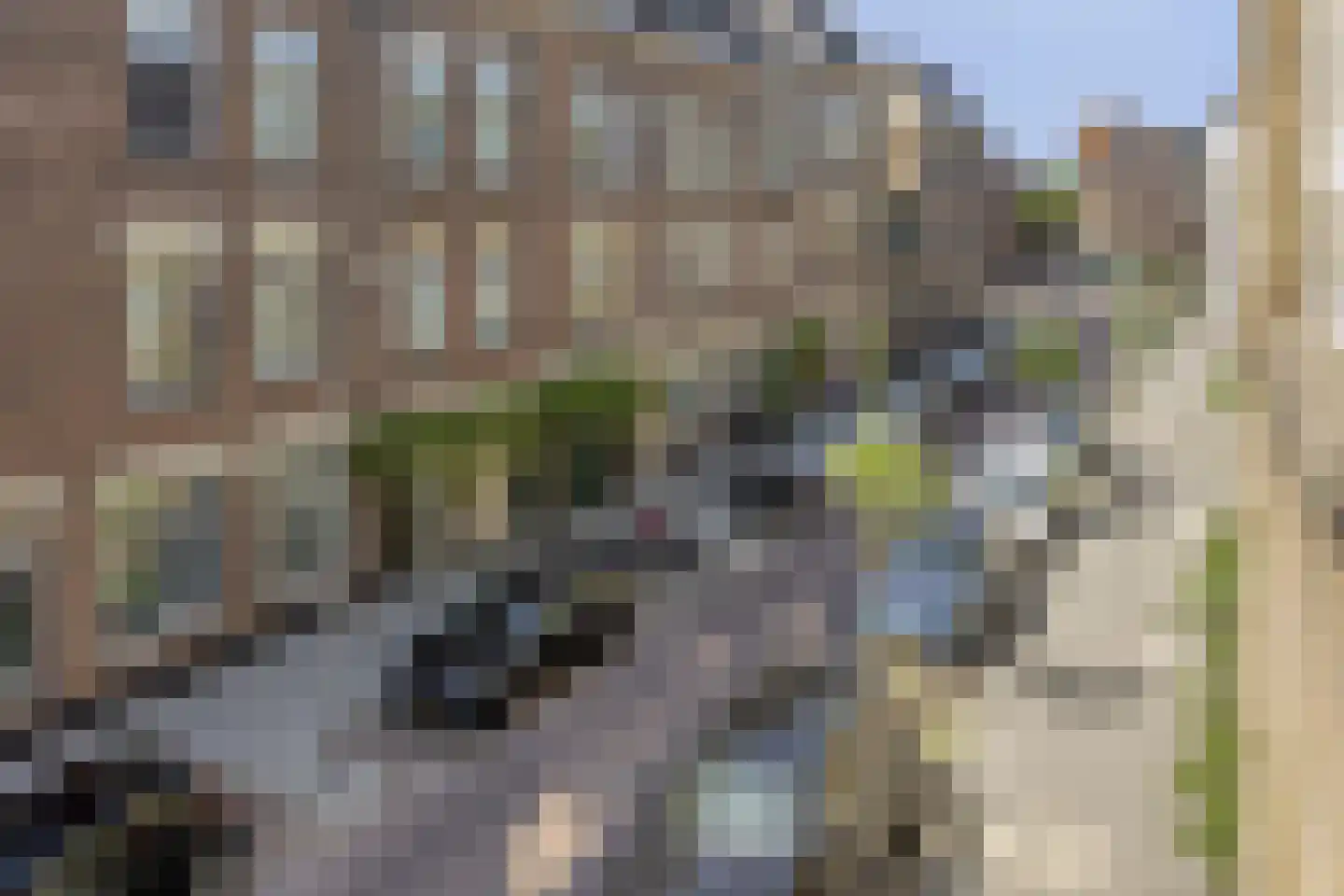Hildegardisstraat 24 C Rotterdam thumbnail 26