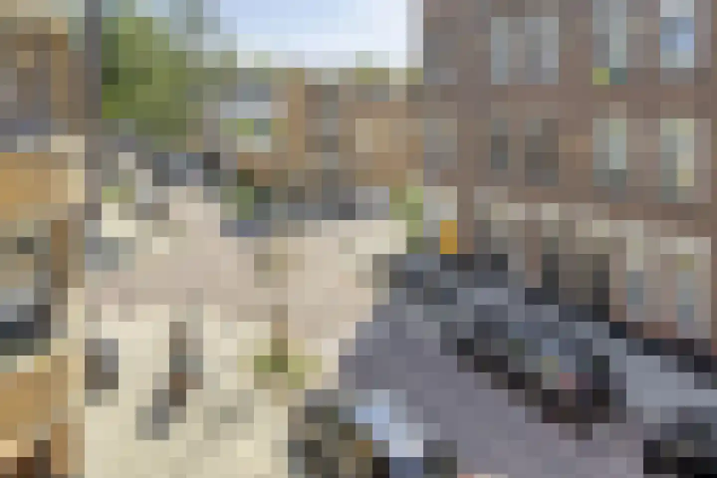 Hildegardisstraat 24 C Rotterdam thumbnail 27