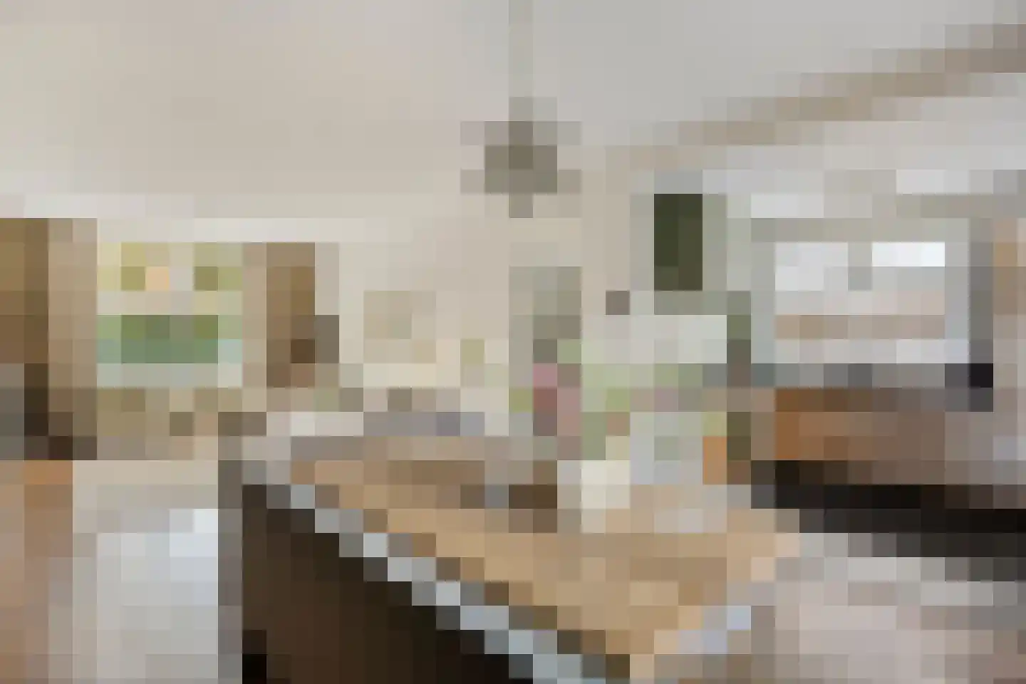 Hildegondestraat 21 Bussum thumbnail 10