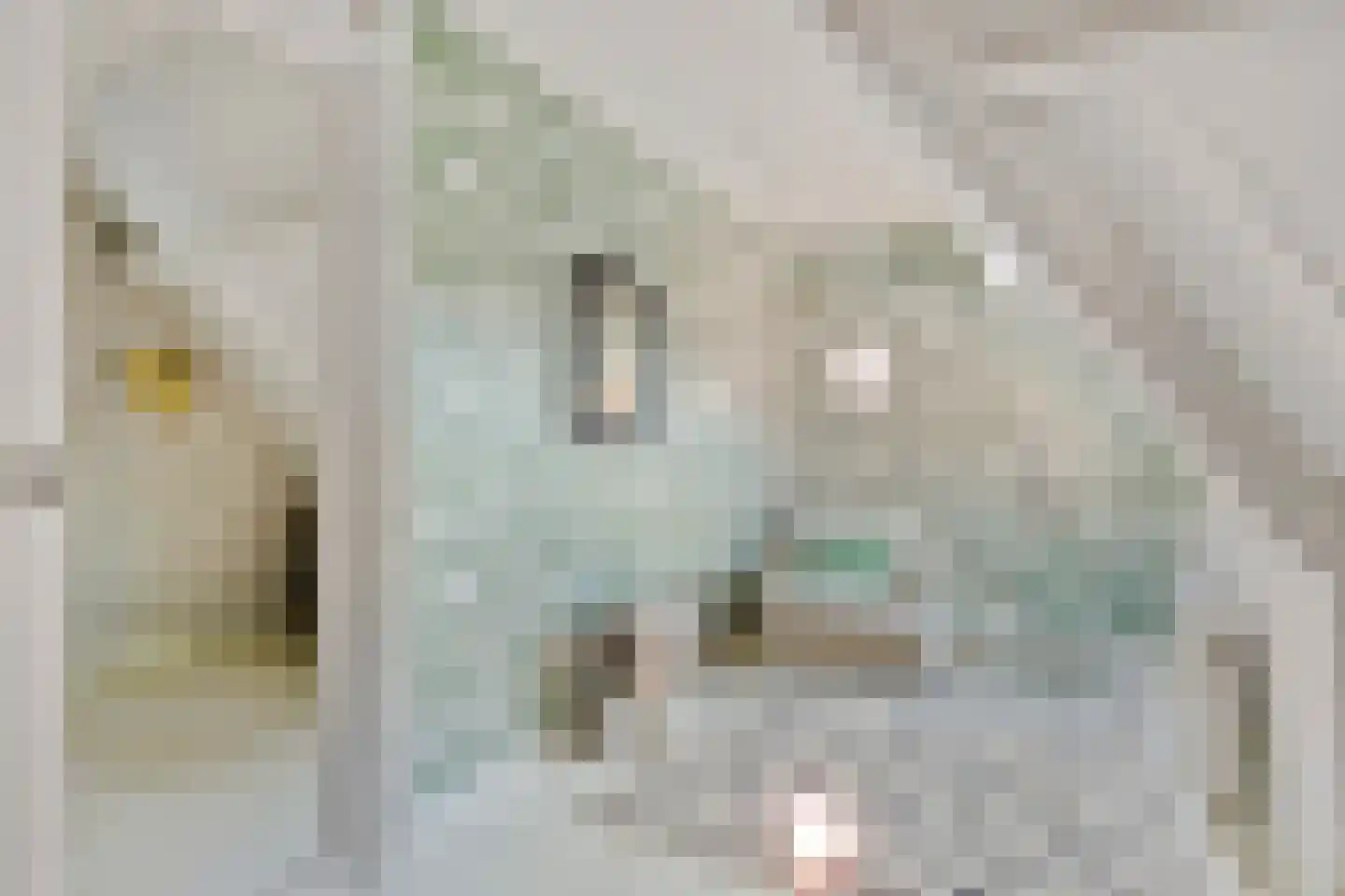 Hildegondestraat 21 Bussum thumbnail 25