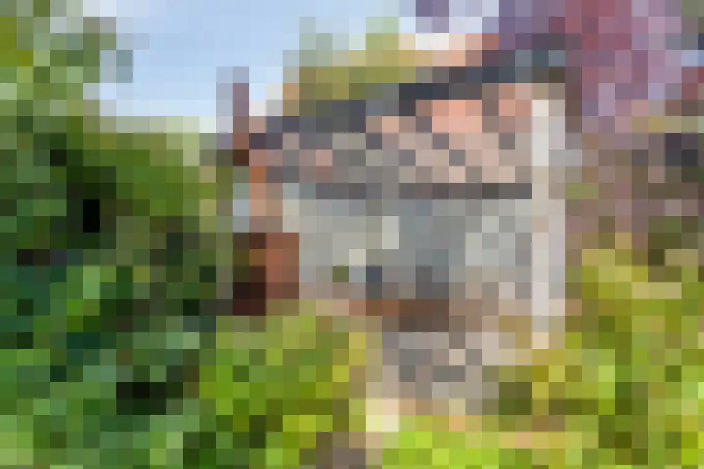Hildegondestraat 21 Bussum thumbnail 34