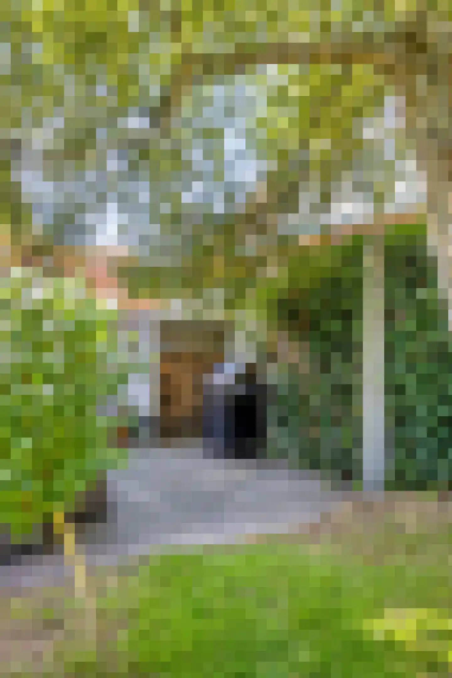 Hildegondestraat 21 Bussum thumbnail 36