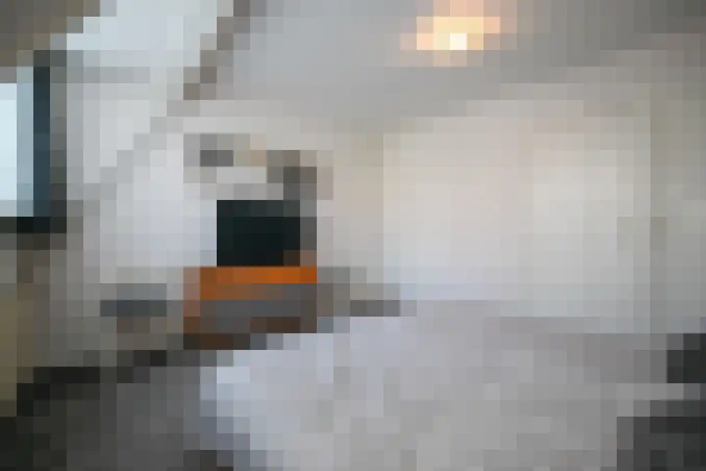 Hildegondestraat 23 Bussum thumbnail 20