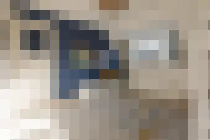 Hildegondestraat 29 Bussum thumbnail 21