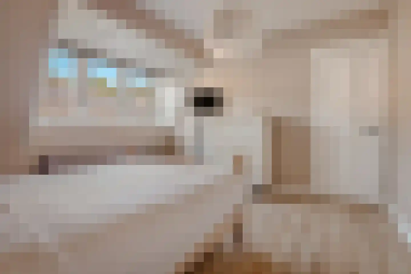 Hildegondestraat 3 Bussum thumbnail 22